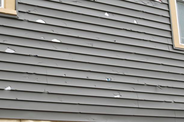 Best Steel Siding Installation  in Perryville, MO