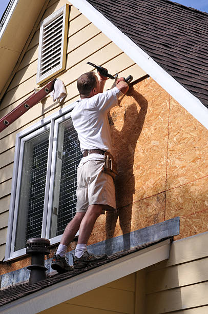 Best Siding Painting and Refinishing  in Perryville, MO